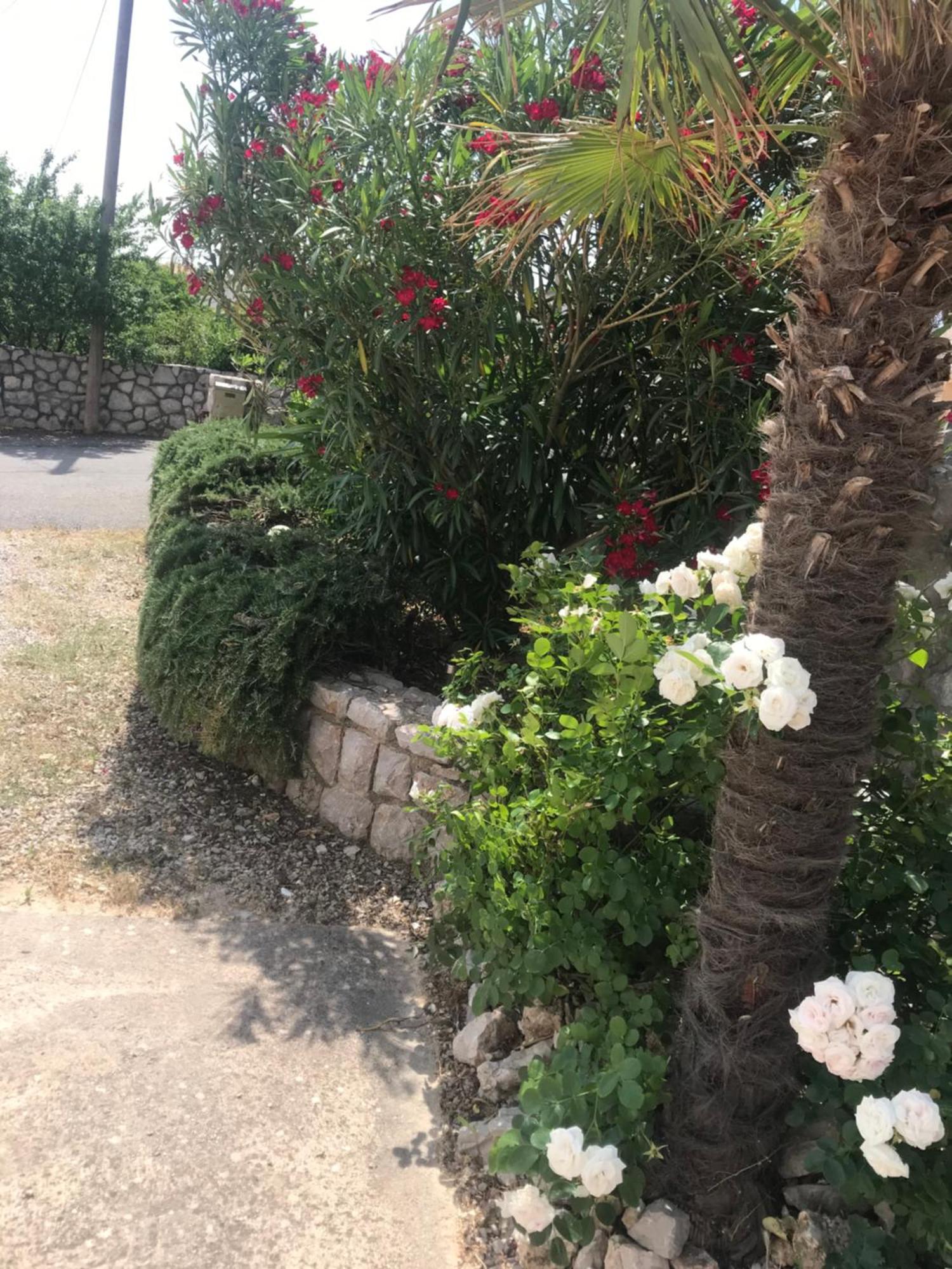 Botic Apartments Šilo Екстериор снимка